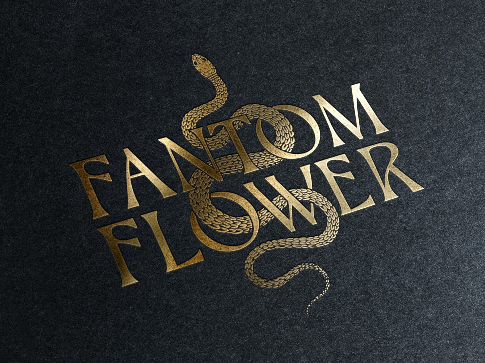 Pavement_FantomFlower2