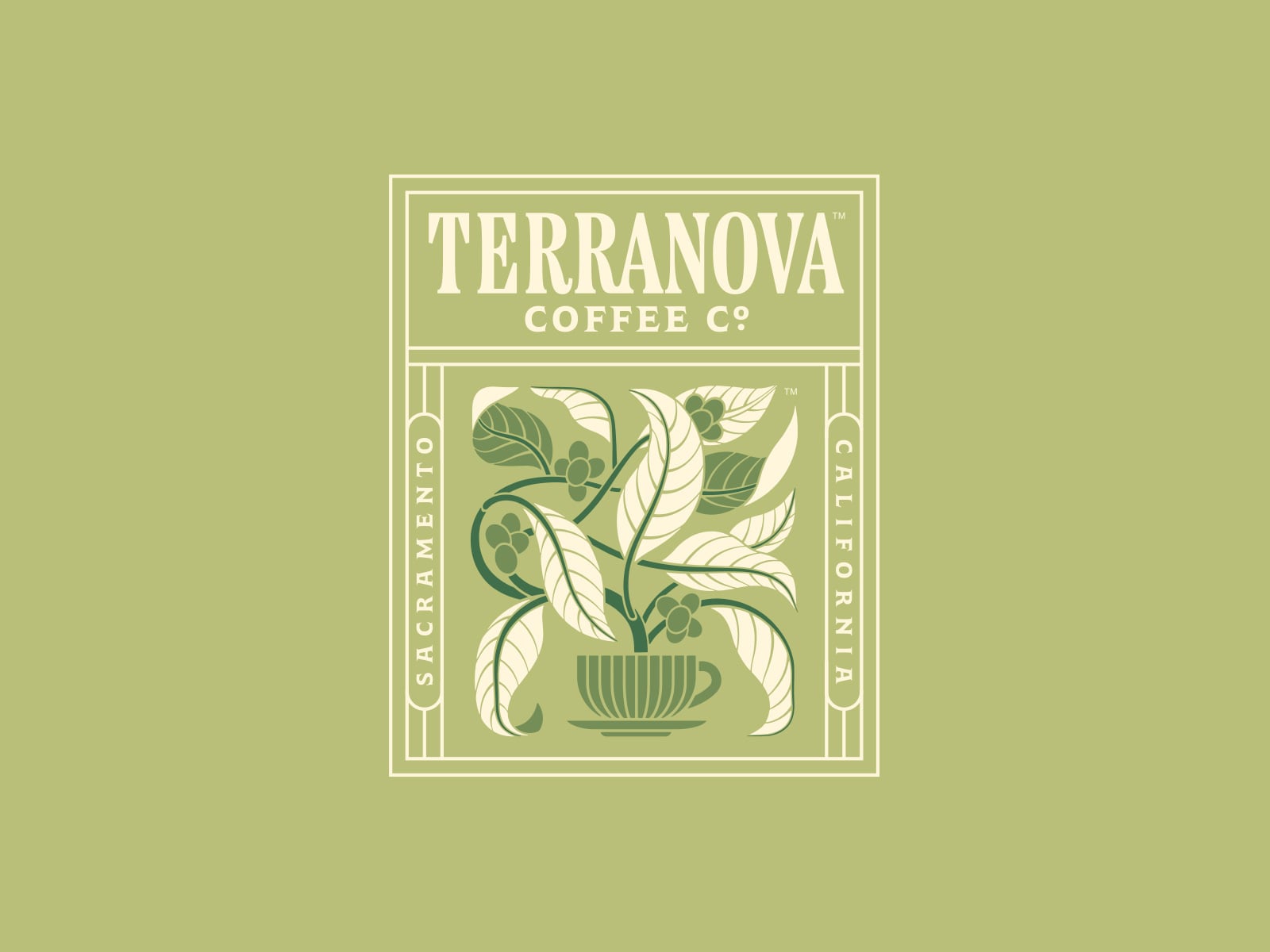 Pavement_Terranova2