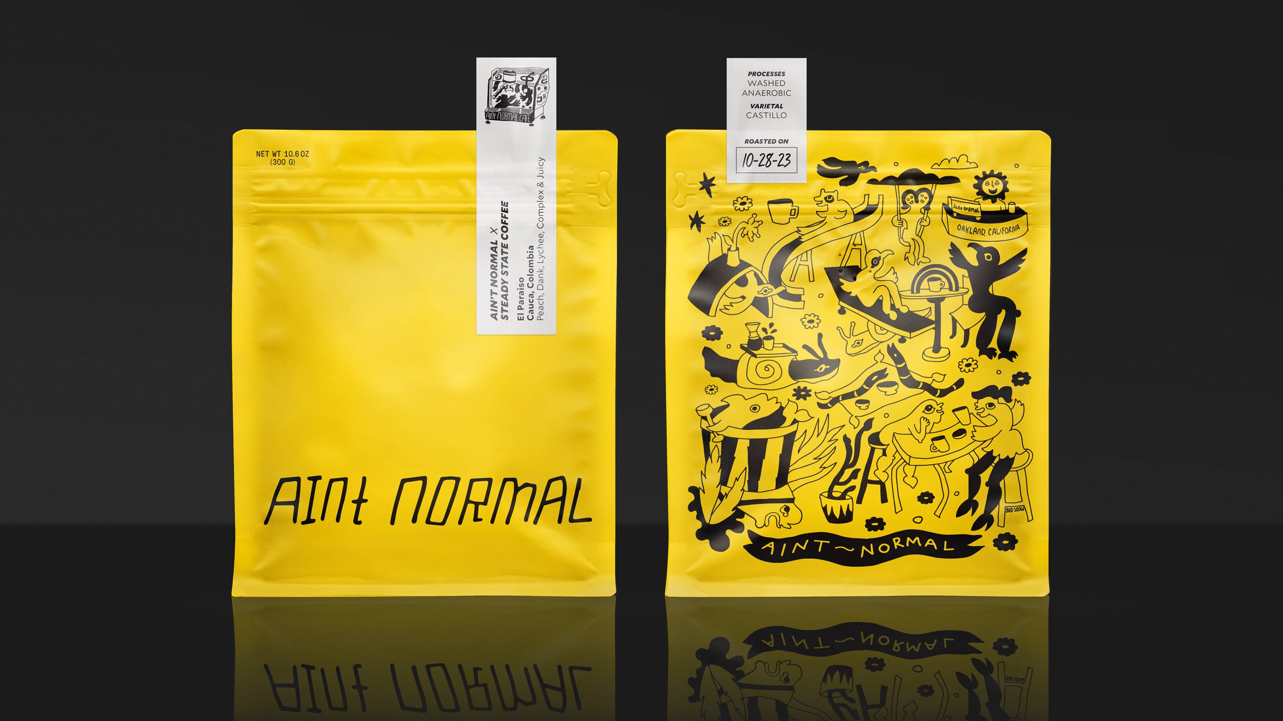 Pavement_AintNormal_Cover