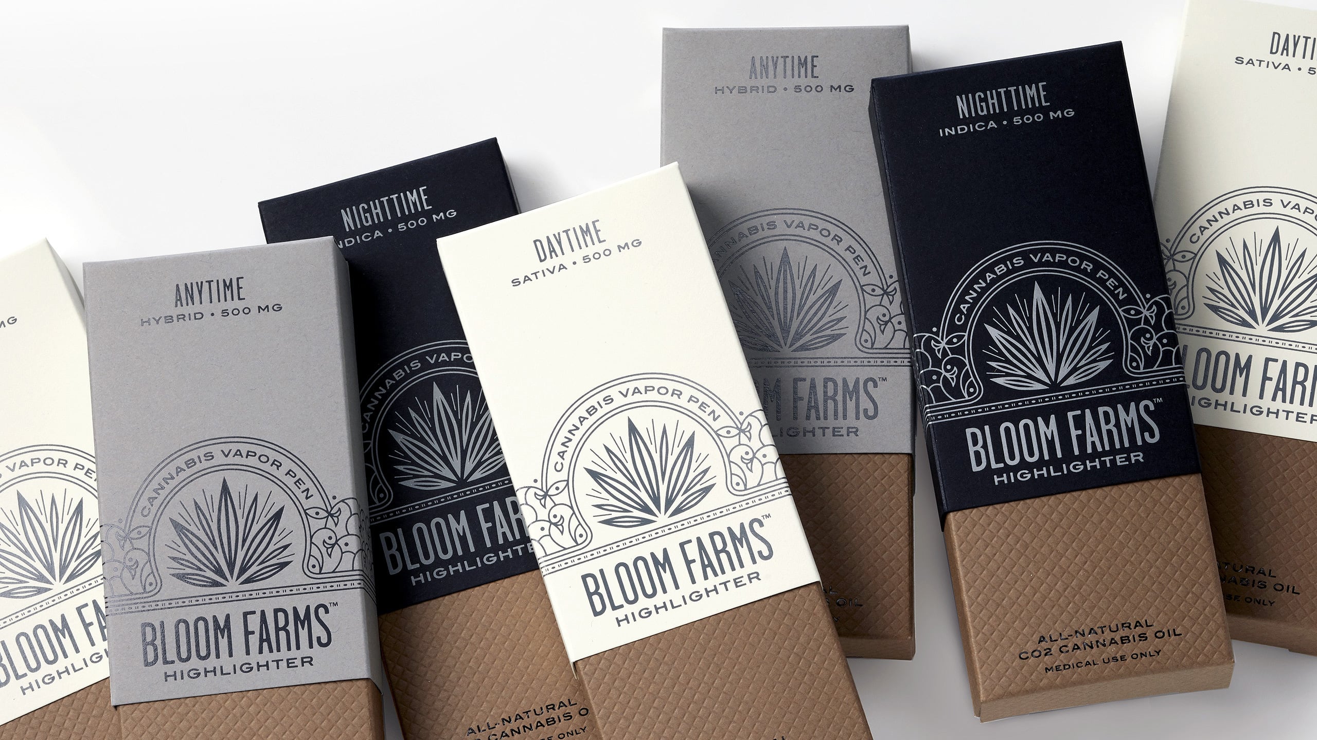 Pavement_BloomFarms_Cover2