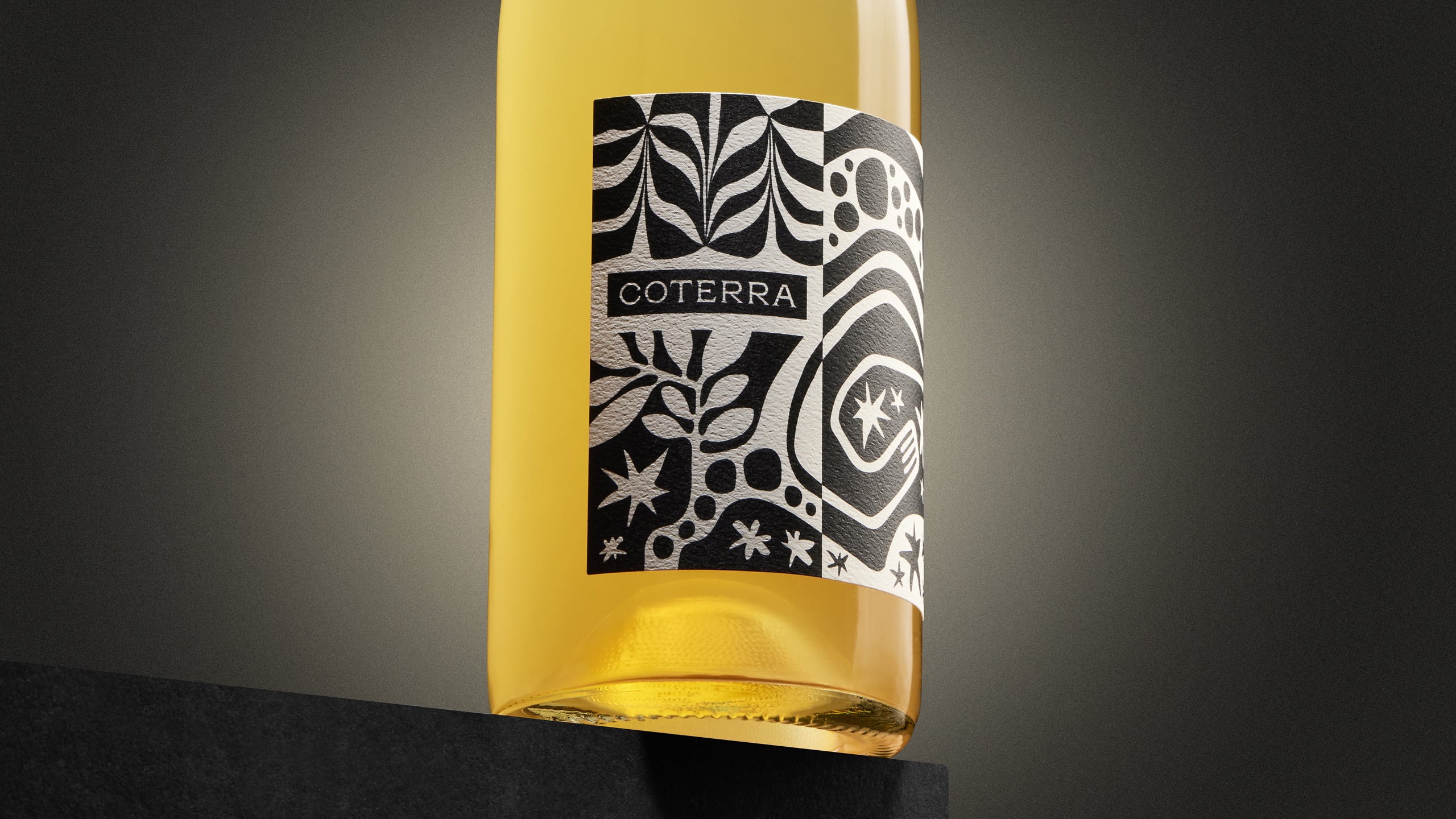 Pavement_Coterra_Cover