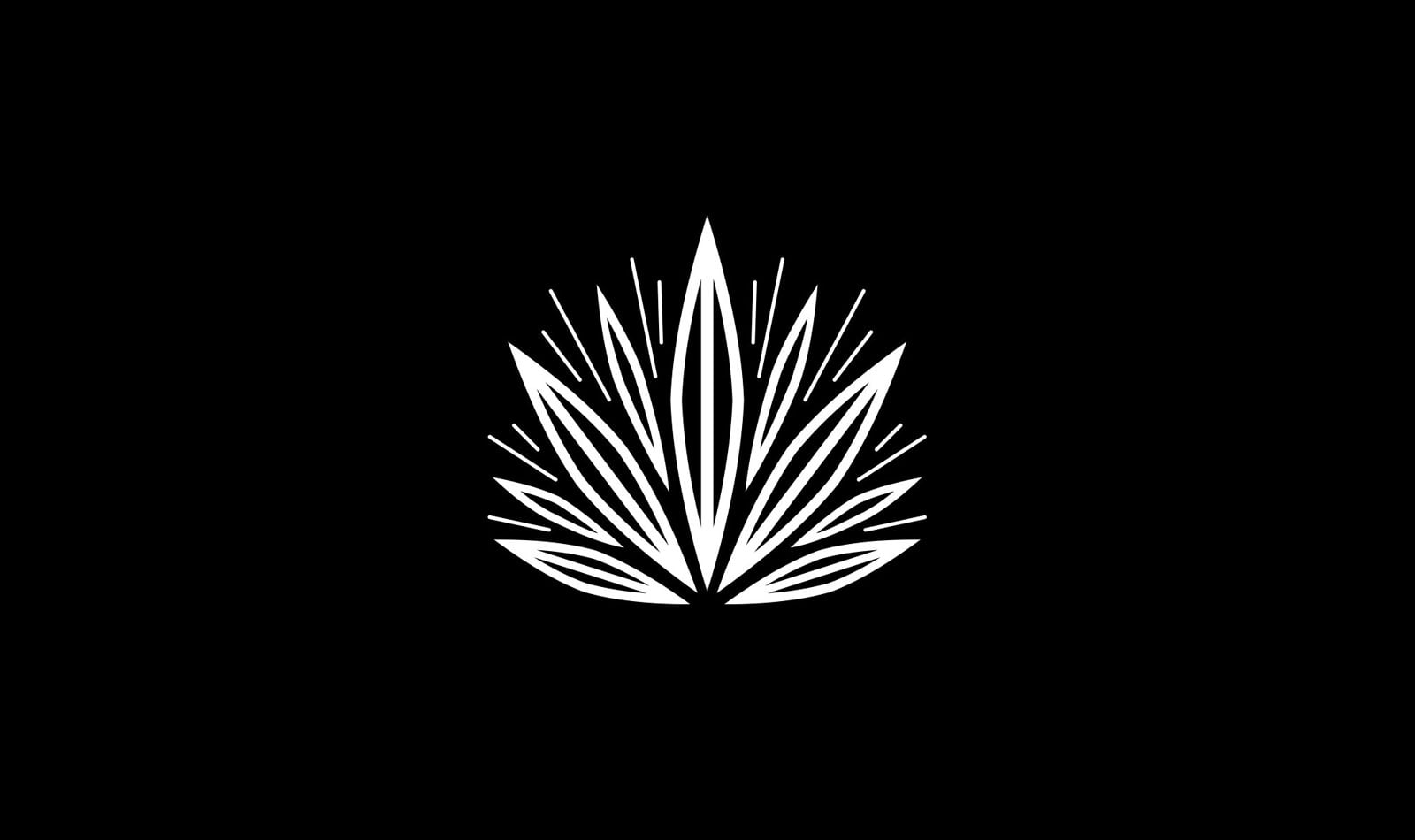 Pavement_Highlighter8