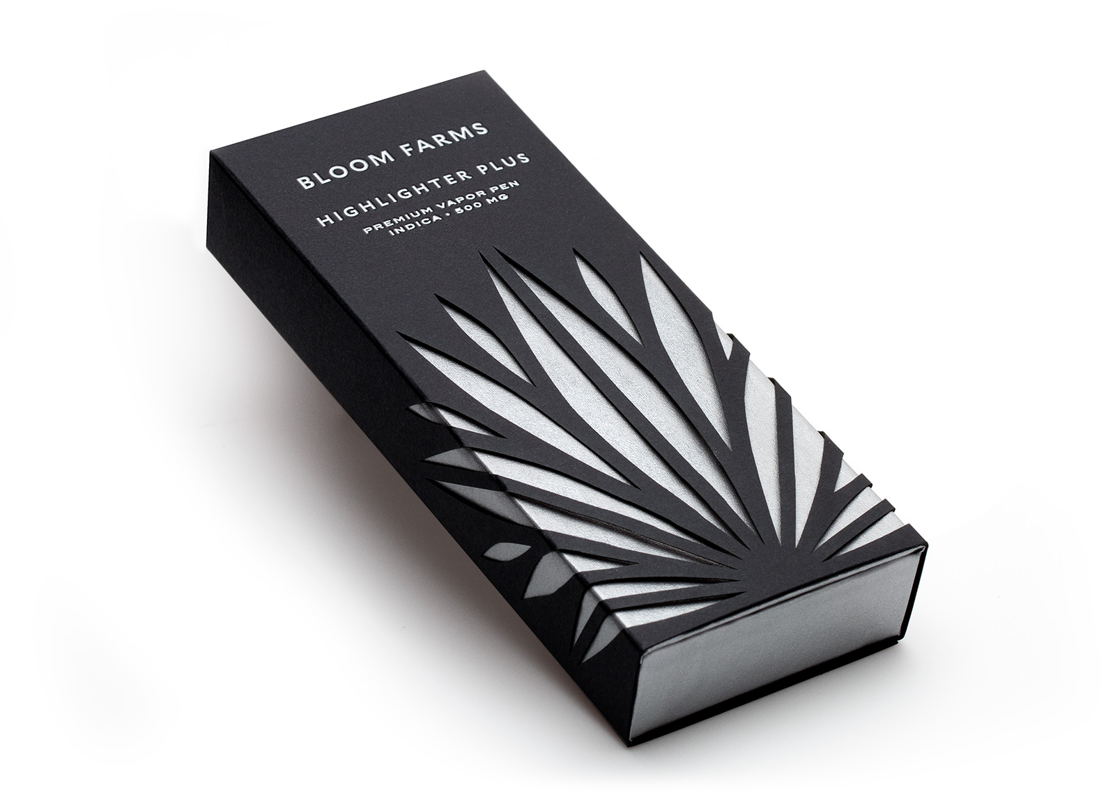 Pavement_HighlighterPlus1