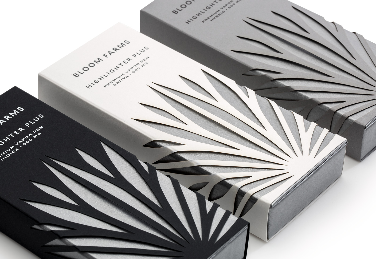 Pavement_HighlighterPlus3